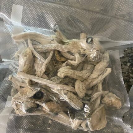 makilla gorilla shrooms