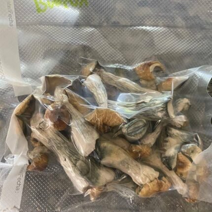 bullrun mushrooms