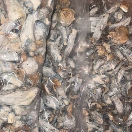 yeti shrooms